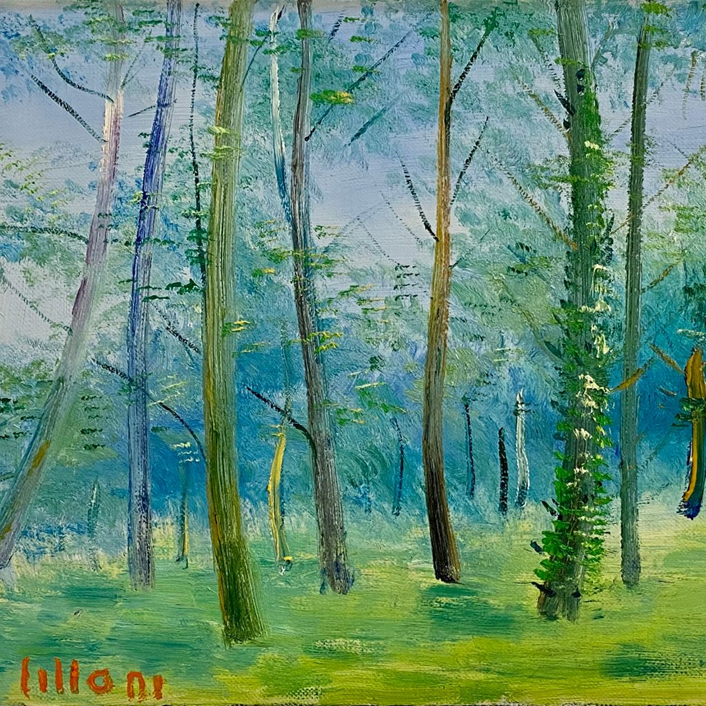 PERCHE’ NON LILLONI?