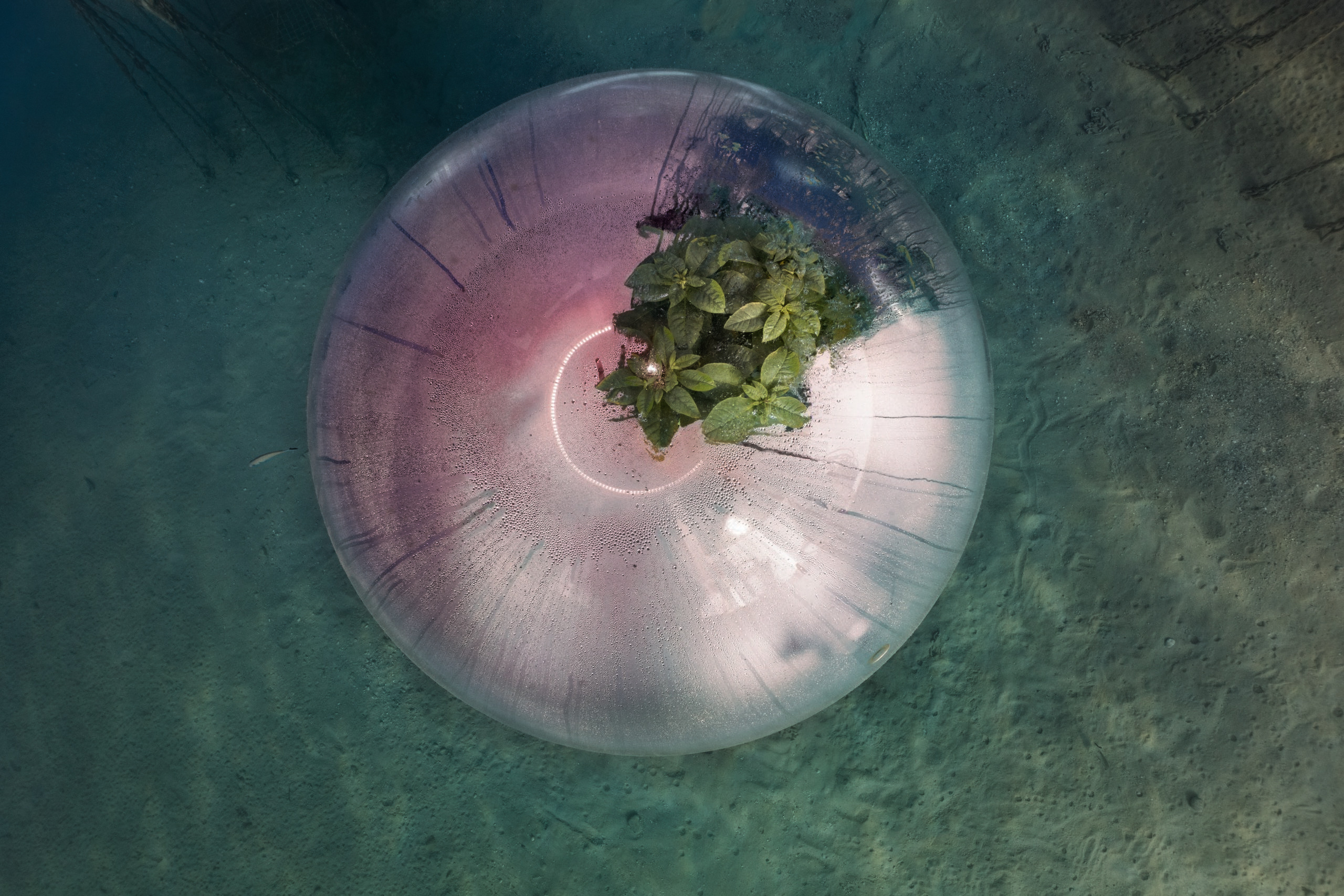 Luca Locatelli. The Circle. Soluzioni per un futuro possibile
