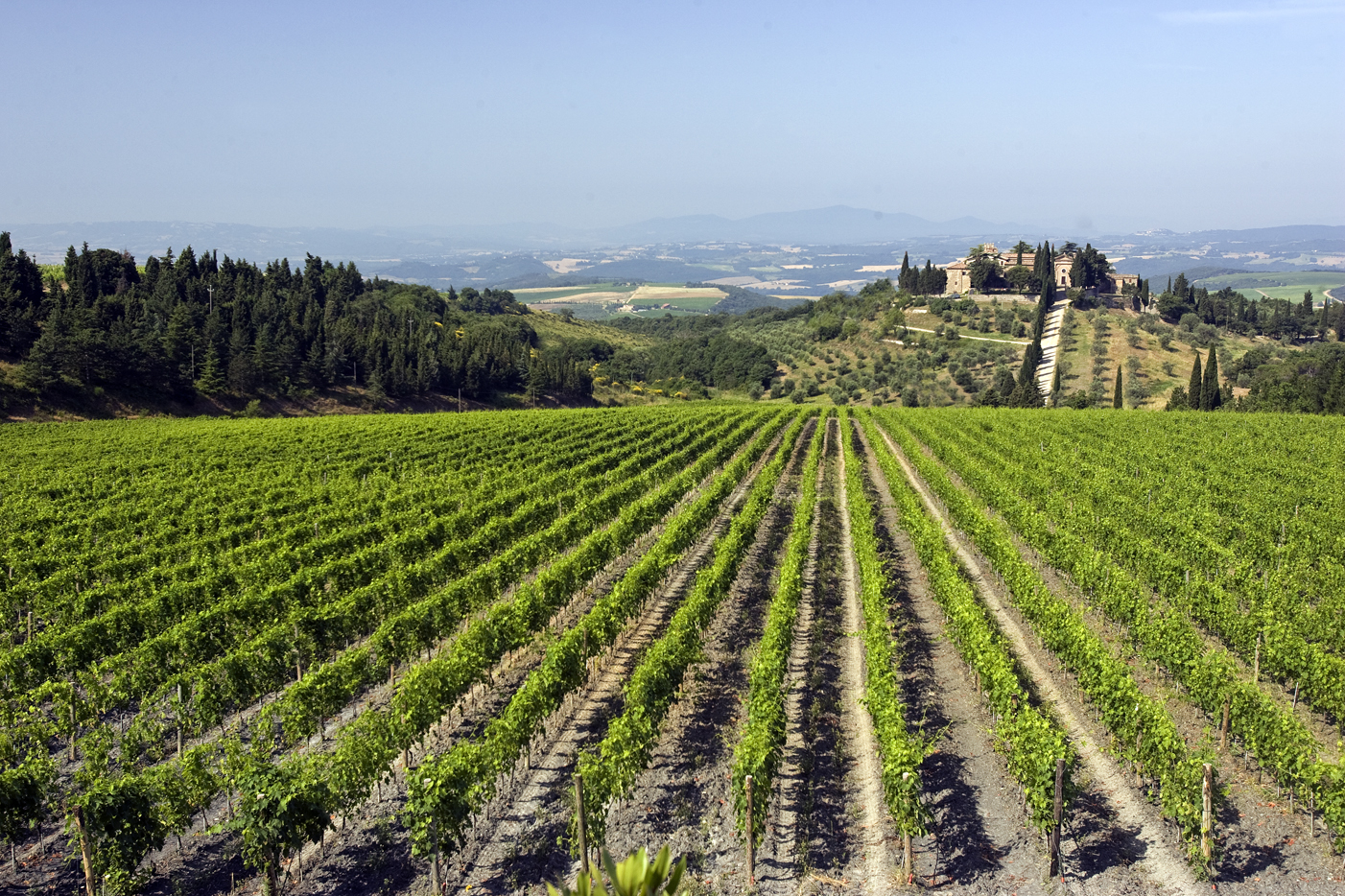 Artisti per Frescobaldi, the project and the catalogue