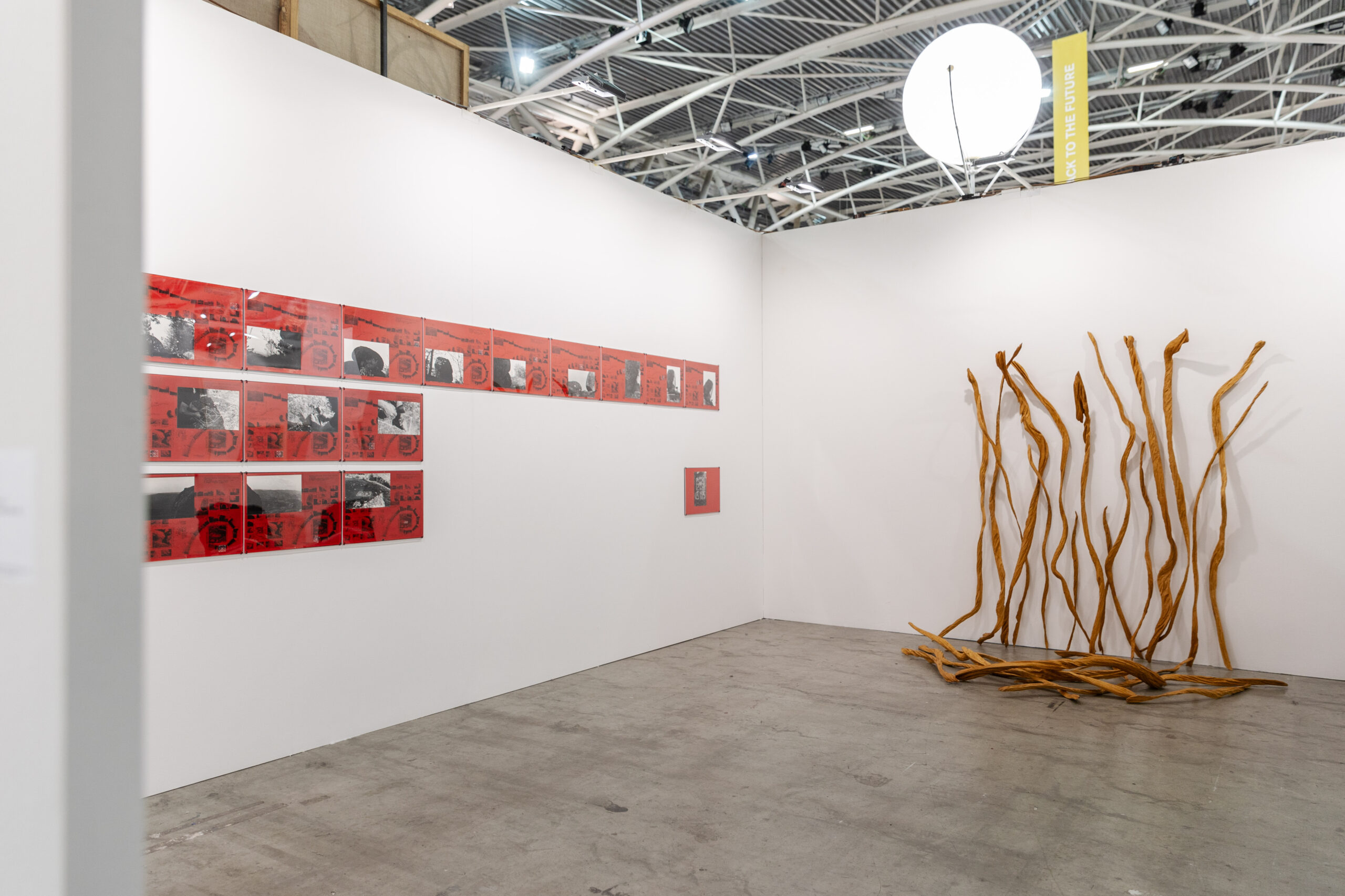 Step 03, 3+1 Arte Contemporânea, Alberto Carneiro