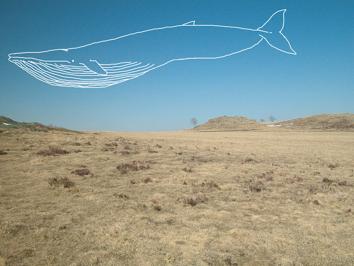 Storia di una mostra: MOBY DICK, La balena